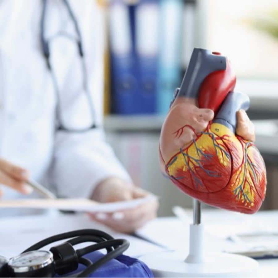 Anatomisch hart op bureau